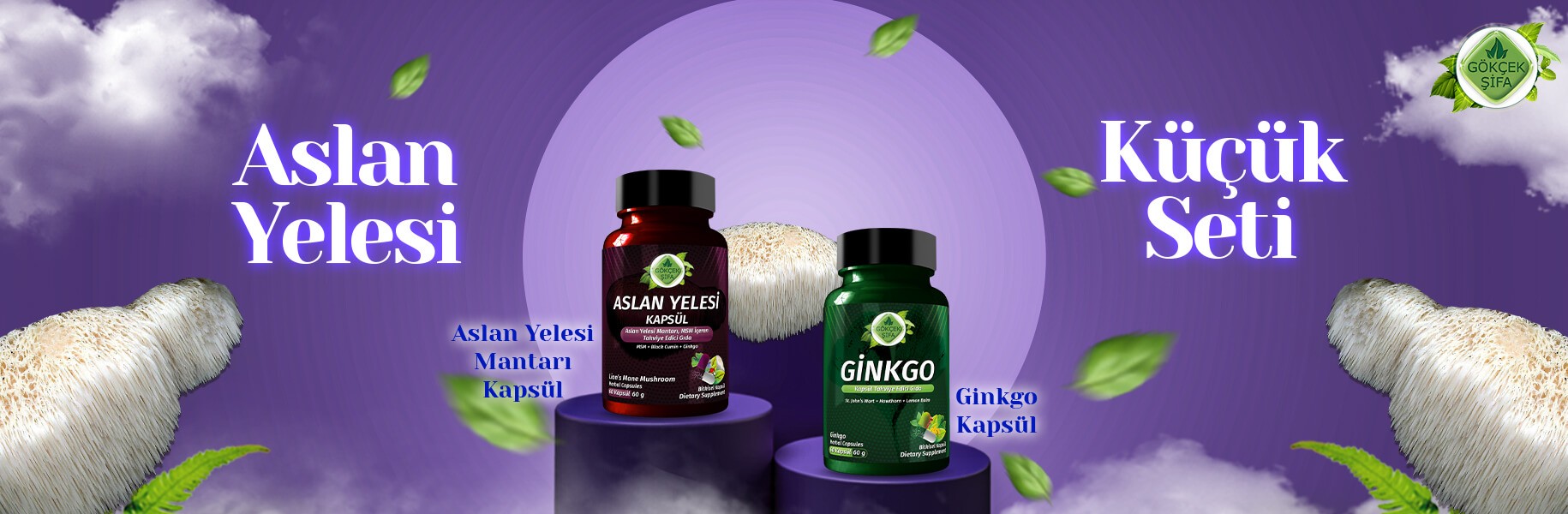 Aslan Yelesi - Küçük Seti