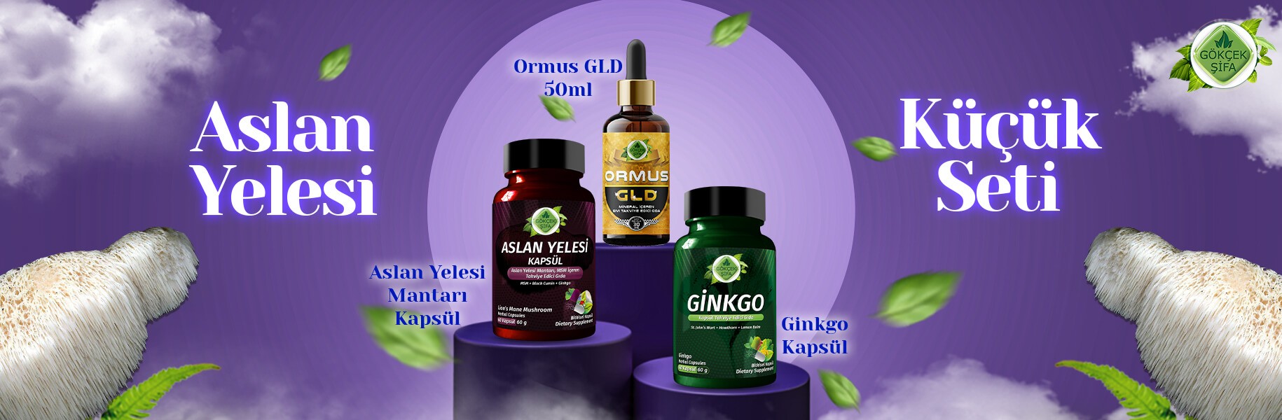 Aslan Yelesi - Küçük Seti