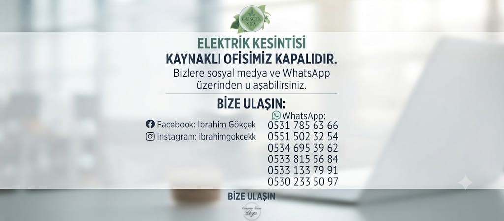 eleklrti