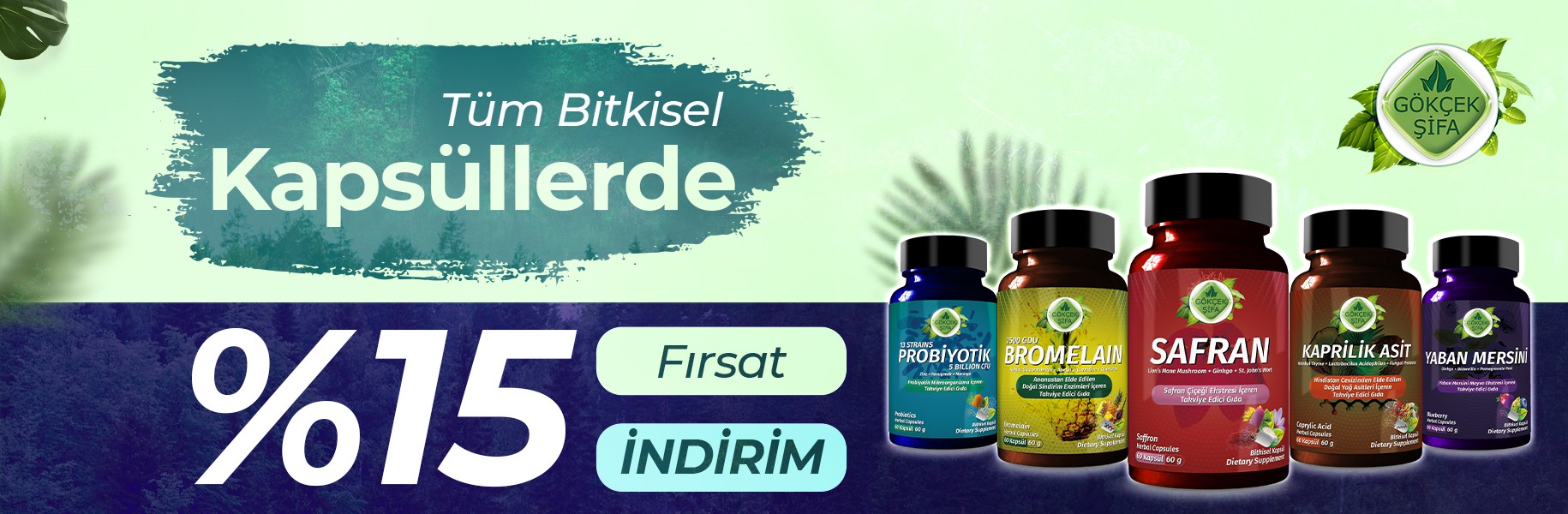 kapsül15