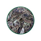 1 Kg. Açlık Otu Çayı