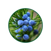 1 Kg. Ardıç Tohumu Çayı