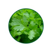 1 Kg. Maydanoz Çayı