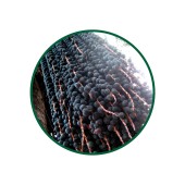Acai Üzümü Toz Ekstresi