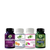 Afrika Sardunya - N Seti