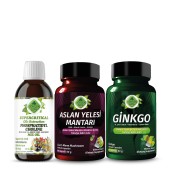 Aslan Yelesi - Mini Seti