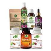 At Kestanesi - S Seti