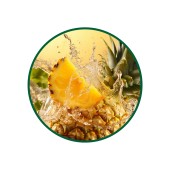 Bromelain Toz Ekstresi