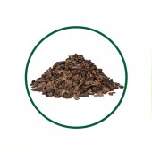 Çam Kabuğu Toz Ekstresi