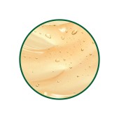 CoQ 10 Enzim Toz Ekstresi