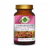 Forskolin Toz Ekstresi 100 gr. Cam Kavanoz