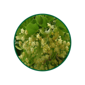 Ilhamur Süperkritik Yağı 1 Lt.