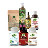 Japon Poligonumu - B Seti