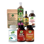 Japon Poligonumu - B Seti