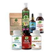 Japon Poligonumu - Ç Seti