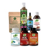 Japon Poligonumu - Ç Seti