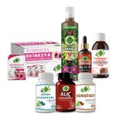 Japon Poligonumu - E Seti