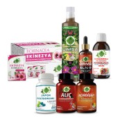 Japon Poligonumu - E Seti