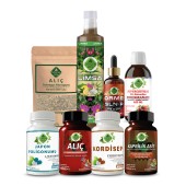 Japon Poligonumu - H Seti