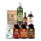 Japon Poligonumu - H Seti