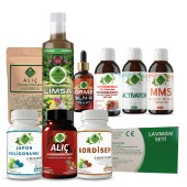 Japon Poligonumu - Lav Seti