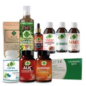 Japon Poligonumu - Lav Seti