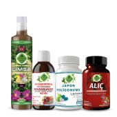 Japon Poligonumu - Orta Seti