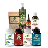 Japon Poligonumu - P Seti