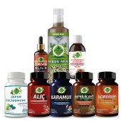 Japon Poligonumu - Ş Seti