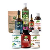 Japon Poligonumu - U Seti