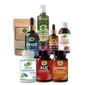 Japon Poligonumu - U Seti