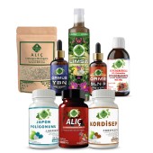 Japon Poligonumu - Y Seti