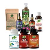 Japon Poligonumu - Y Seti