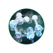 Kolajen Toz Ekstresi