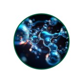 L-Citrulline