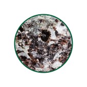 Magnezyum Sitrat