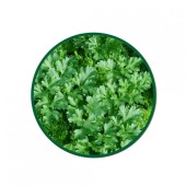 Maydanoz Toz Ekstresi