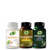 Rhodiola - F Seti