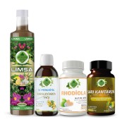 Rhodiola - Orta Seti