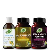 Sarı Kantaron - Mini Seti