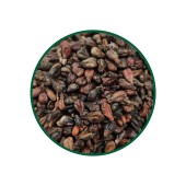 Üzüm Çekirdeği (%45 Proantosiyanidin) Toz Ekstresi