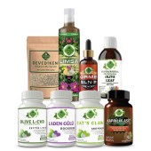 Zeytin L-KVD - H Seti