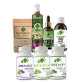 Zeytin L-KVD - M Seti