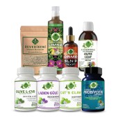 Zeytin L-KVD - P Seti