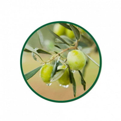 1 Lt. Zeytin Yaprağı Sıvı Ekstresi