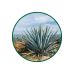 Agave Toz Ekstresi