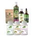 Chlorella - M Seti