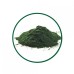 Chlorella Toz Ekstresi