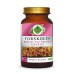 Forskolin Toz Ekstresi