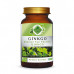 Ginkgo Toz Ekstresi 100 gr. Cam Kavanoz